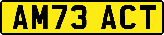 AM73ACT
