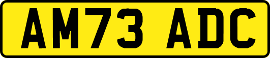 AM73ADC