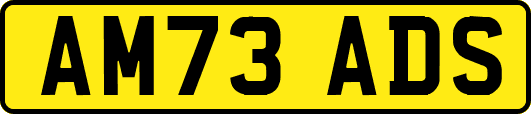 AM73ADS