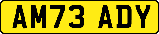 AM73ADY