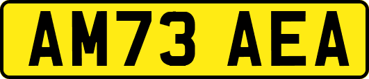 AM73AEA