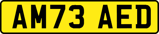 AM73AED
