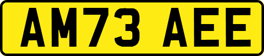 AM73AEE
