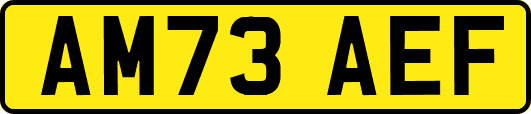 AM73AEF