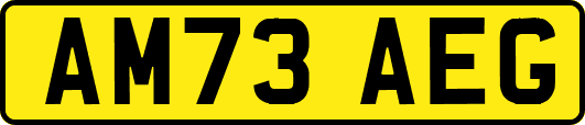 AM73AEG