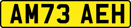 AM73AEH