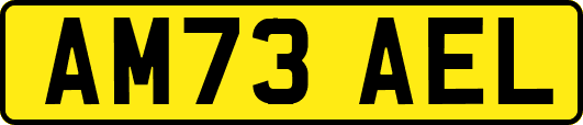 AM73AEL