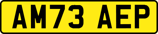 AM73AEP