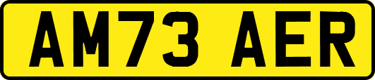 AM73AER