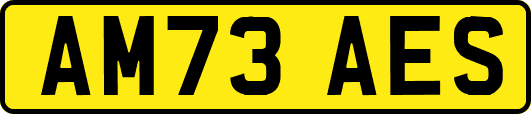 AM73AES