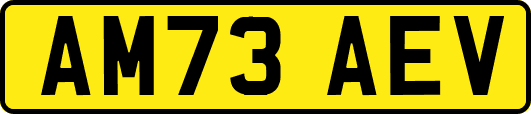 AM73AEV