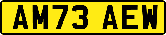 AM73AEW