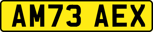 AM73AEX