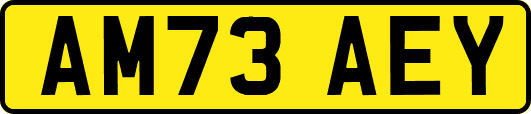 AM73AEY