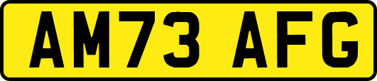 AM73AFG