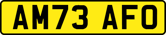 AM73AFO