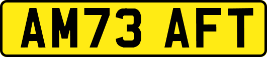 AM73AFT