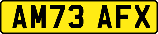 AM73AFX
