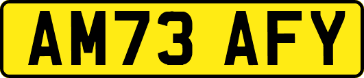 AM73AFY