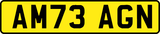AM73AGN