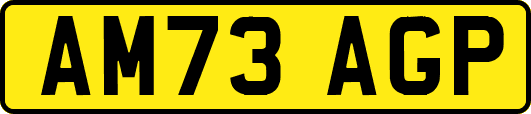 AM73AGP