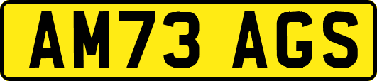 AM73AGS