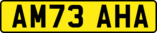 AM73AHA