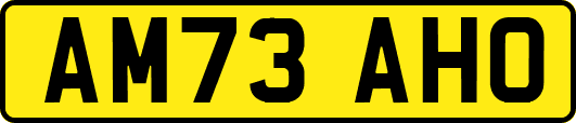 AM73AHO
