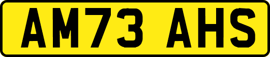 AM73AHS
