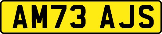 AM73AJS