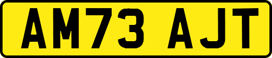 AM73AJT