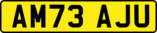AM73AJU