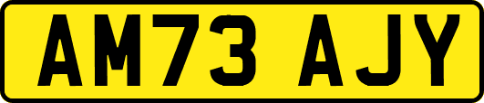 AM73AJY
