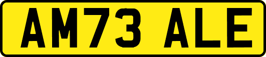 AM73ALE