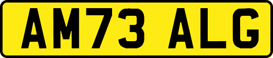 AM73ALG