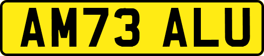 AM73ALU
