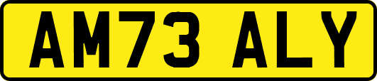 AM73ALY