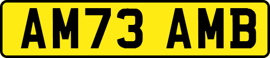 AM73AMB