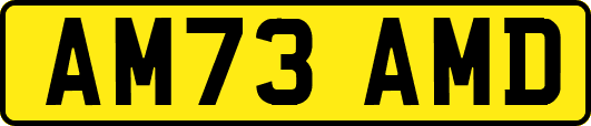 AM73AMD