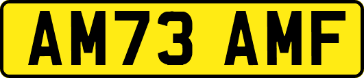 AM73AMF