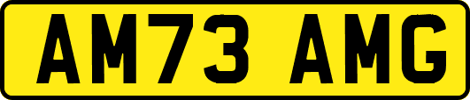 AM73AMG