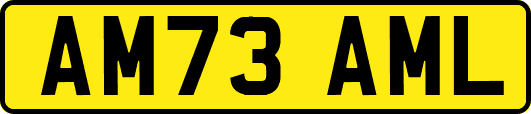 AM73AML