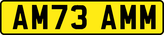 AM73AMM