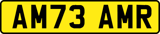 AM73AMR