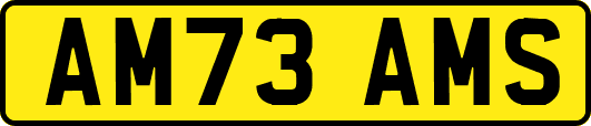 AM73AMS