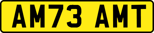 AM73AMT