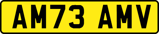 AM73AMV