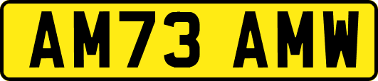 AM73AMW