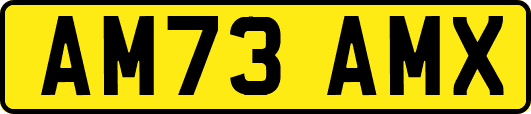 AM73AMX
