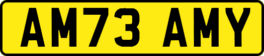 AM73AMY